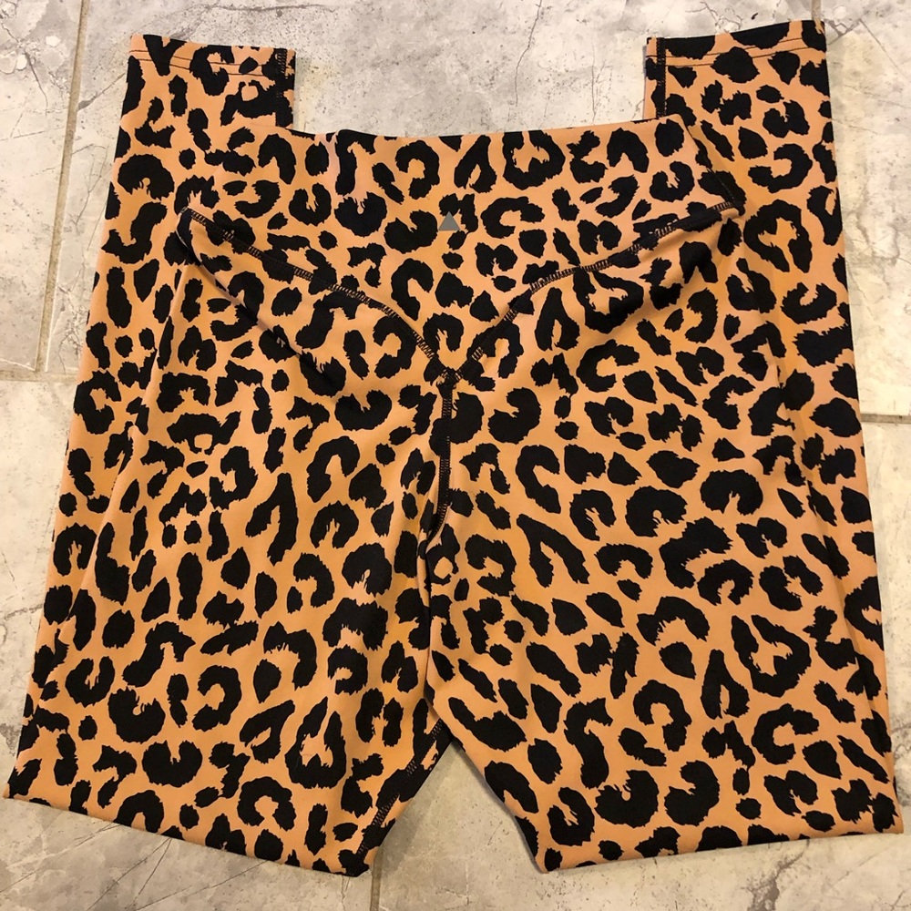 King Cheetah